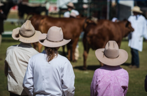 Agricultural Show at Penrith Annual Show