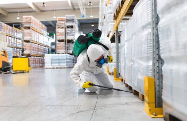 Commercial pest control in Sydney by True Blue Pest Control technician applying safe treatments in a warehouse storage area
