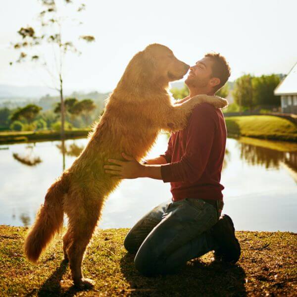 Dog and owner sharing a meaningful moment reflecting trusted pet cremation Sydney families rely on at Everlight Pet Cremations Sydney